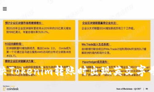 如何解决Tokenim转账时出现英文字母的问题