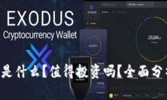 Bitdeer是什么?值得投资吗?全面分析与评估