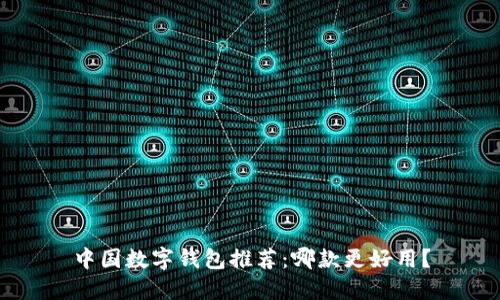中国数字钱包推荐：哪款更好用？