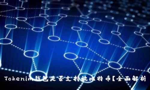 Tokenim钱包是否支持放比特币?全面解析