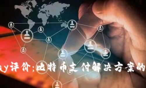 _bitpay评价：比特币支付解决方案的利与弊