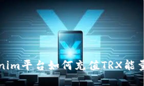 Tokenim平台如何充值TRX能量指南