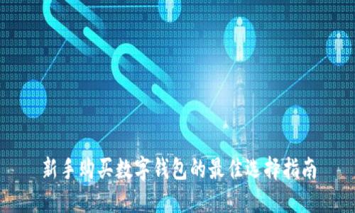 新手购买数字钱包的最佳选择指南