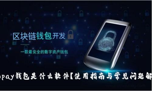Gopay钱包是什么软件？使用指南与常见问题解答