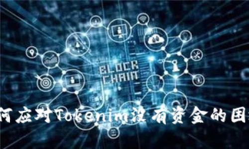 如何应对Tokenim没有资金的困境？