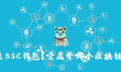 什么是BSC钱包？它属于哪个区块链网络？