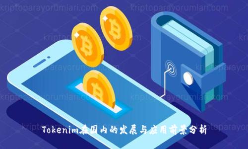 Tokenim在国内的发展与应用前景分析