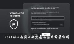 Tokenim在国内的发展与应用前景分析
