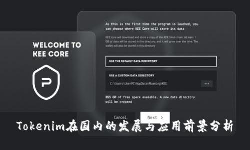 Tokenim在国内的发展与应用前景分析