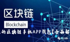 如何开发高效的区块链手机APP钱包？全面解析与
