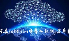 如何在Tokenim中导入私钥：简单指南