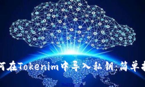 如何在Tokenim中导入私钥:简单指南