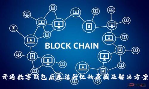 开通数字钱包后无法升级的原因及解决方案