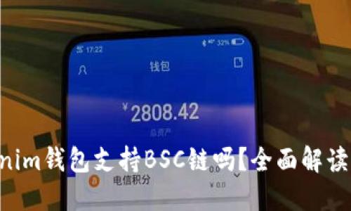Tokentokenim钱包支持BSC链吗?全面解读与使用指南