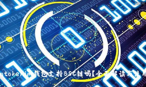 Tokentokenim钱包支持BSC链吗?全面解读与使用指南