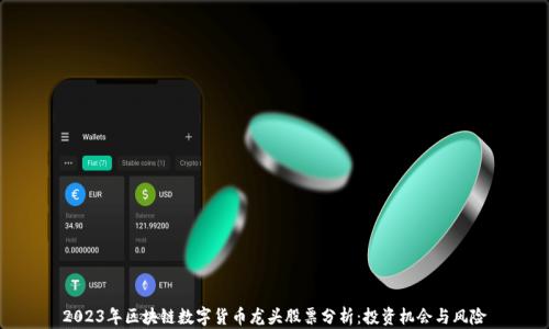 
2023年区块链数字货币龙头股票分析：投资机会与风险