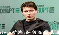 深入了解 Tokenim 矿池：如何选择最适合你的挖矿
