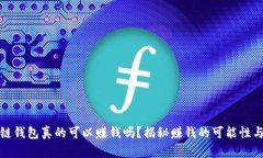 区块链钱包真的可以赚钱吗？揭秘赚钱的可能性