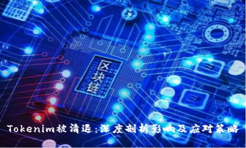Tokenim被清退：深度剖析影响及应对策略