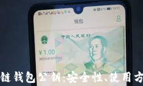 
深入解析区块链钱包公钥：安全性、使用方式与常见问题