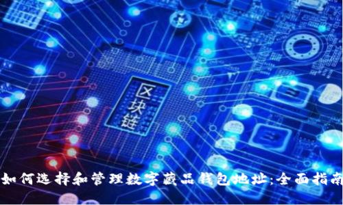 如何选择和管理数字藏品钱包地址：全面指南