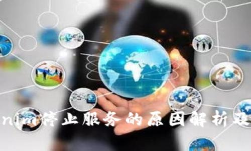 Tokenim停止服务的原因解析及影响