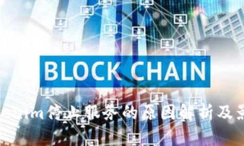Tokenim停止服务的原因解析及影响
