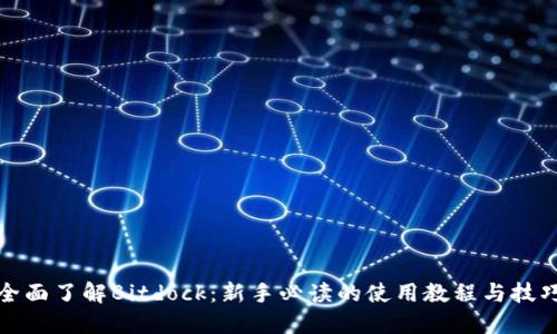 全面了解Bitdock：新手必读的使用教程与技巧