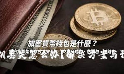 加密钱包秘钥丢失怎么办?解决方案与预防措施详解