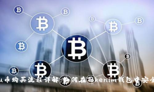 Kishu币购买流程详解：如何在Tokenim钱包中安全交易