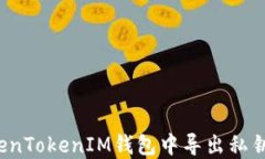 如何从TokenTokenIM钱包中导出私钥？完整指南