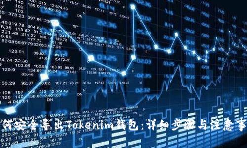 如何安全导出Tokenim钱包:详细步骤与注意事项