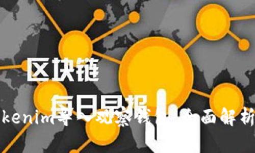 如何使用Tokenim导入观察钱包，全面解析及实践指南