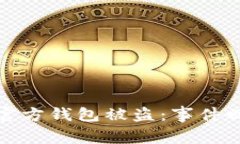 区块链项目方官方钱包被盗：事件回顾与应对措