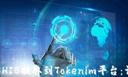 如何将SHIB提取到Tokenim平台:详细指南