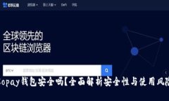 Copay钱包安全吗？全面解析安全性与使用风险