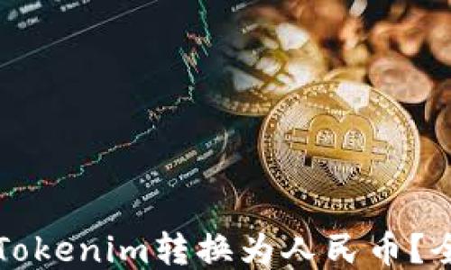 如何将Tokenim转换为人民币?全面指南
