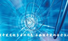 如何开发高效多币种钱包：区块链开发的全方位