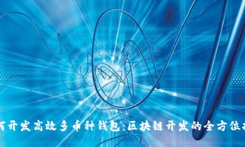 如何开发高效多币种钱包：区块链开发的全方位指南