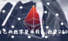 如何选择适合自己的数字货币钱包，投资2000元变