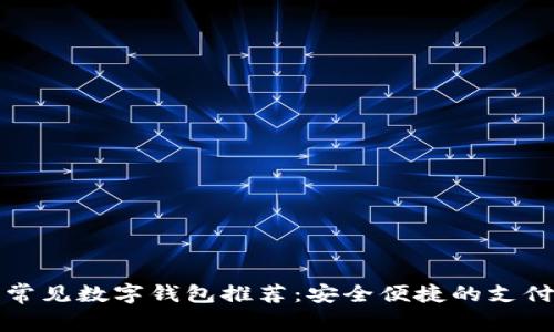 国内常见数字钱包推荐：安全便捷的支付选择