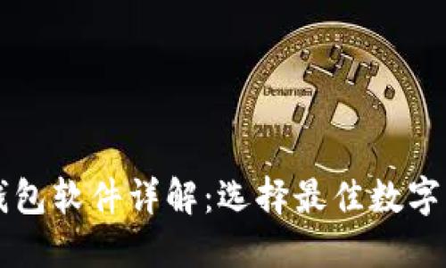 苹果虚拟币钱包软件详解：选择最佳数字资产管理工具