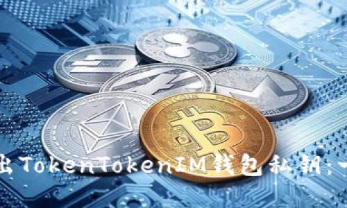 如何安全导出TokenTokenIM钱包私钥:一步一步指南