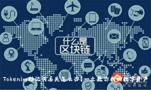Tokenim助记词丢失怎么办?一文教你找回数字资产