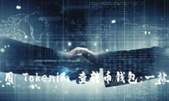 如何使用 Tokenim 查转币钱包:一站式指南