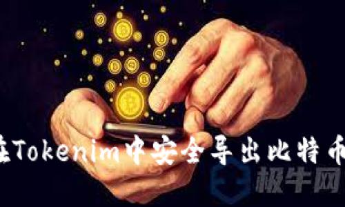 如何在Tokenim中安全导出比特币私钥?
