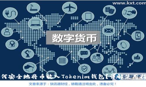 如何安全地将币放入Tokenim钱包?详解使用指南