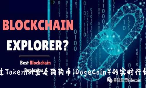 如何通过Tokenim查看狗狗币(DogeCoin)的实时行情和趋势