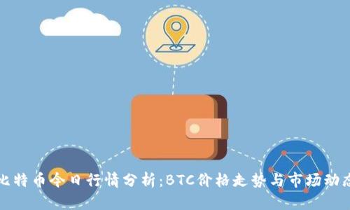 比特币今日行情分析:BTC价格走势与市场动态