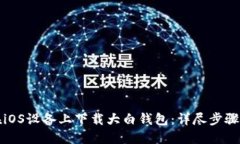 如何在iOS设备上下载大白钱包:详尽步骤与技巧